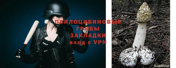 2c-b Алексеевка