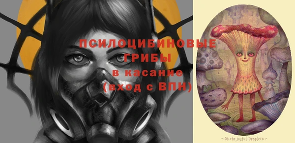 ECSTASY Алексин