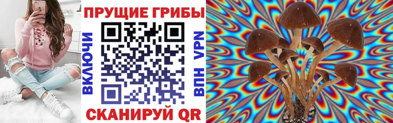 ОМГ ОМГ ССЫЛКА Люберцы Псилоцибиновые грибы GOLDEN TEACHER
