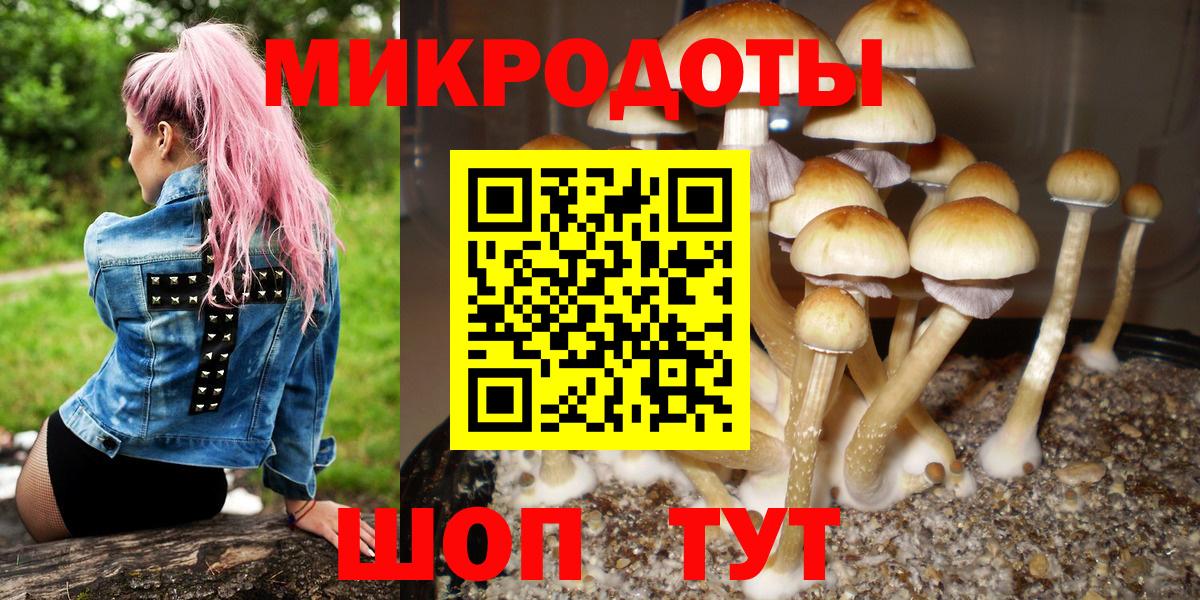 Псилоцибиновые грибы мицелий  Вход с VPN  Люберцы 
